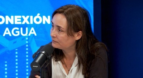 Ana Isabel González Abadías