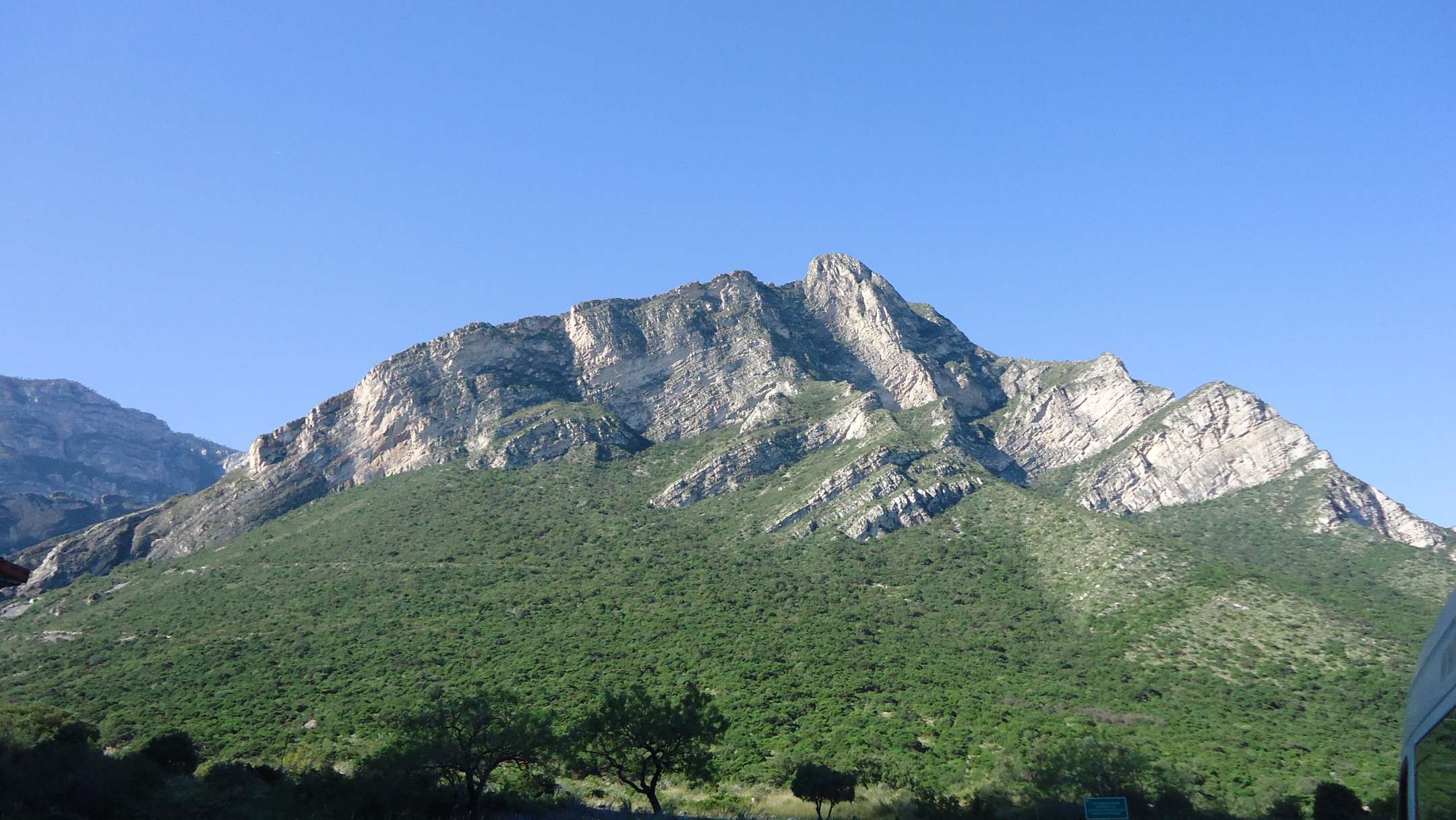 Se apalancan compromisos sector privado biodiversidad COP13 CBD