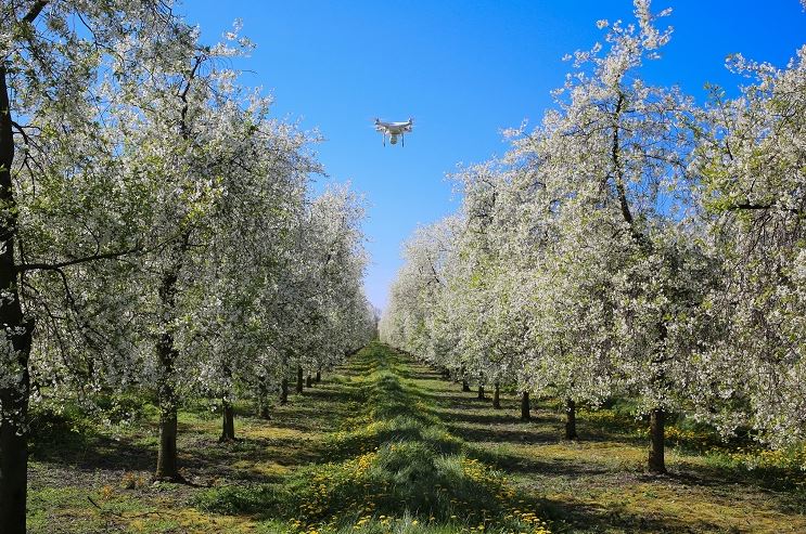 Drones que aportan soluciones en el sector del agua: desde la guerra hacía la paz hídrica