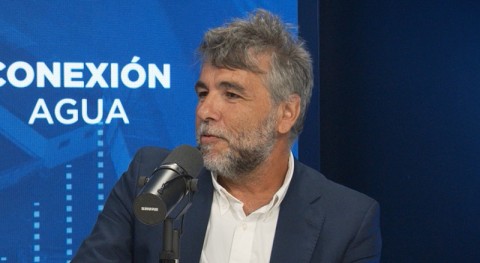 Luis Babiano