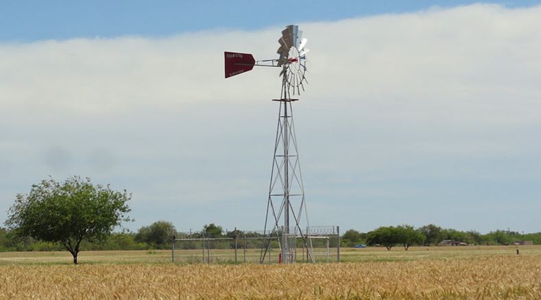 Drenaje parcelario y bombeo energía alternativa mitigar ensalitramiento suelos