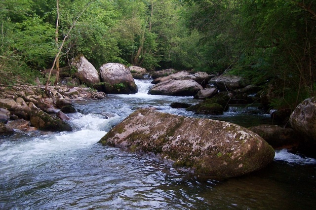 Río Saja-Besaya (wikipedia/CC)